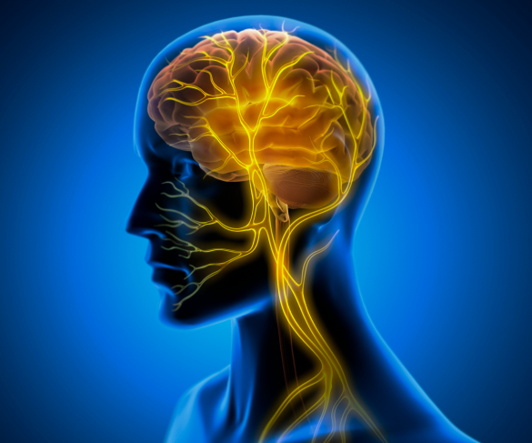 접근방식 이미지