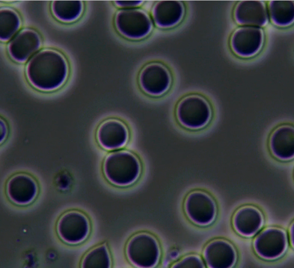 청음탕 소개 이미지