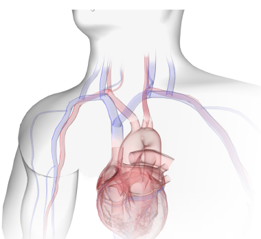 호기 이�이미지